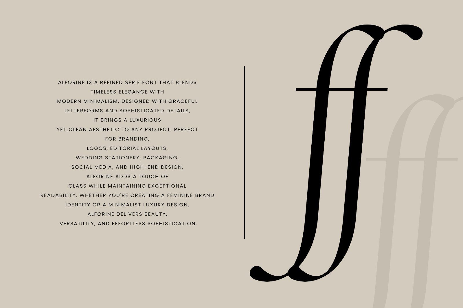 Alforine | Minimalist Serif Font — image 5