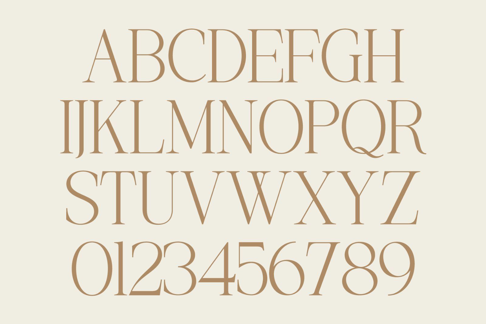 Mogerin | Modern Display Serif — image 7