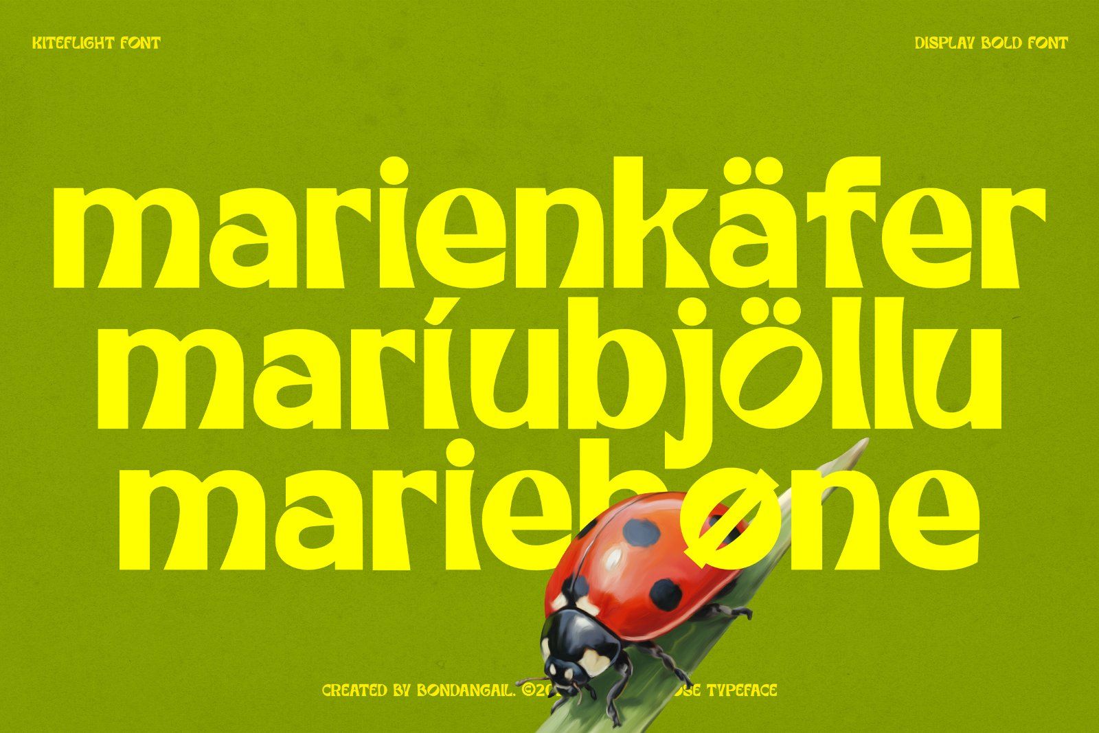 Kiteflight | Breezy Display Font — image 4