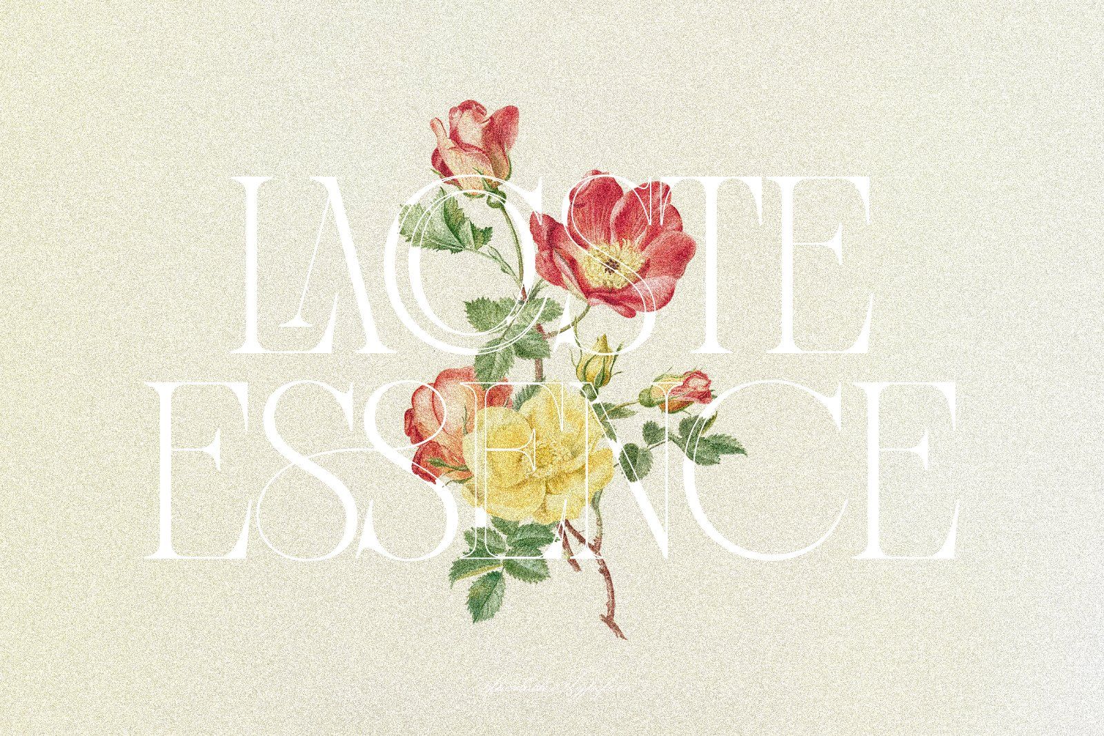 Sherlock – Elegant Classic Serif — image 6