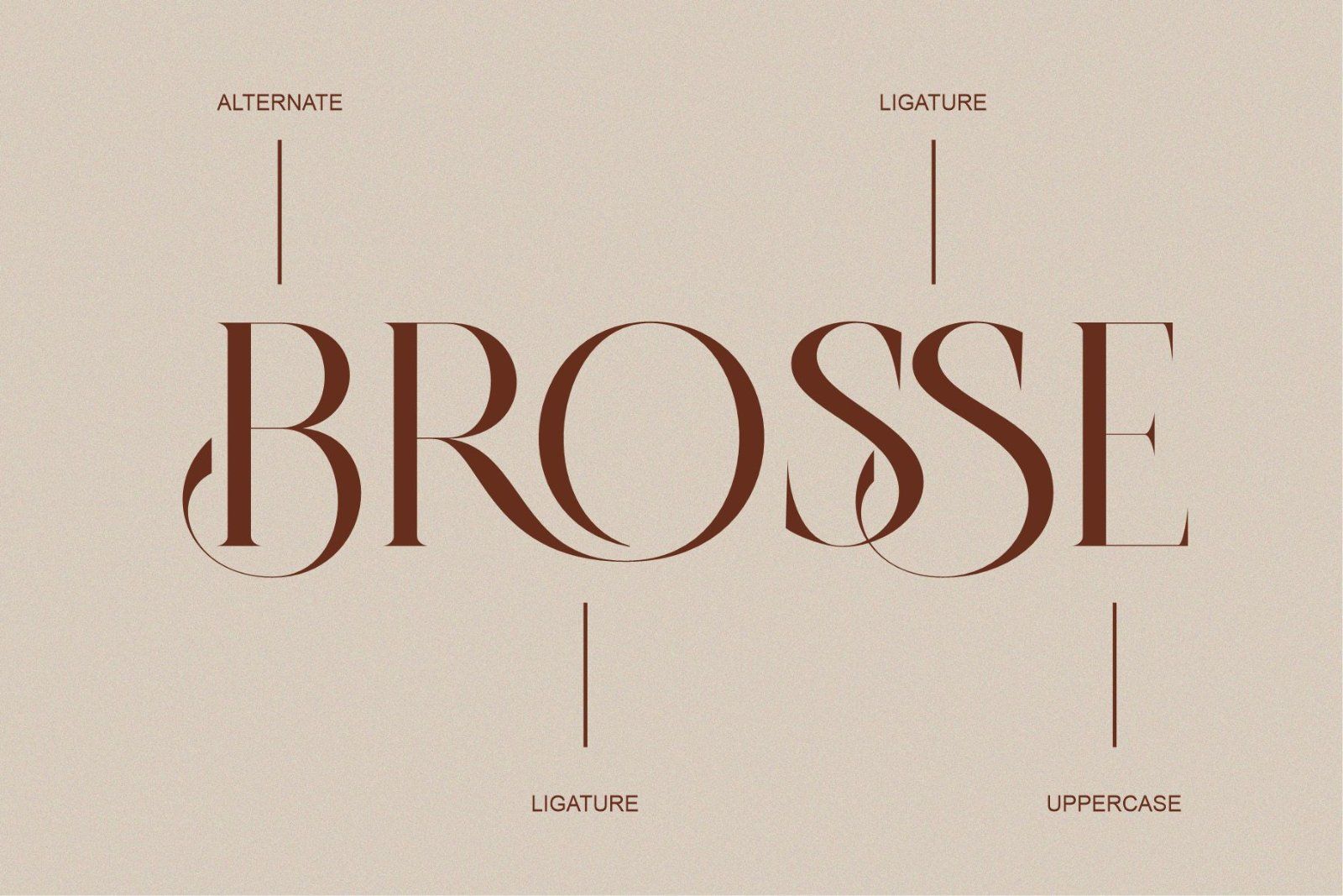 BROSSE Classy Ligature Serif — image 6