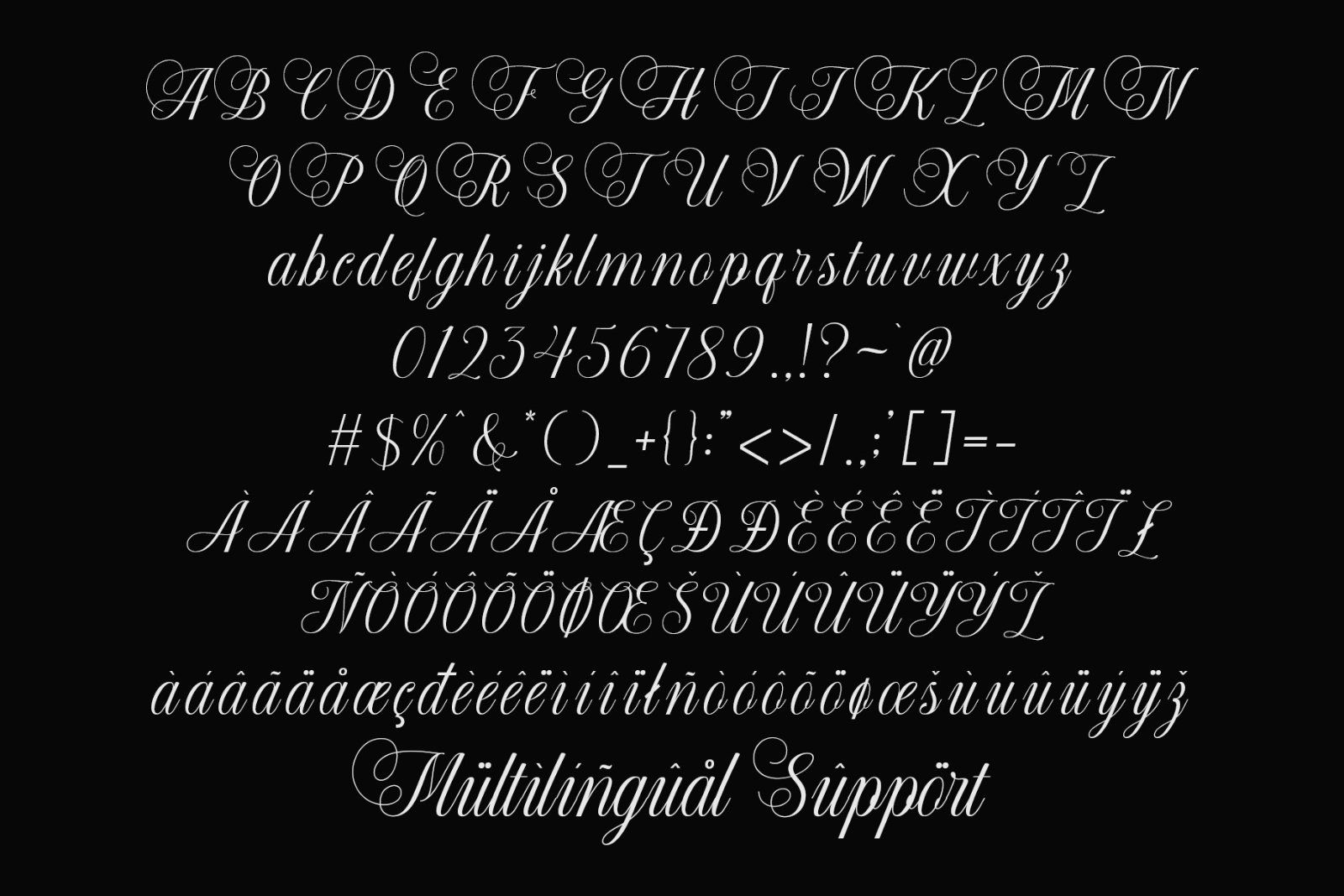 Blorivelle | Elegant Calligraphy Script — image 8