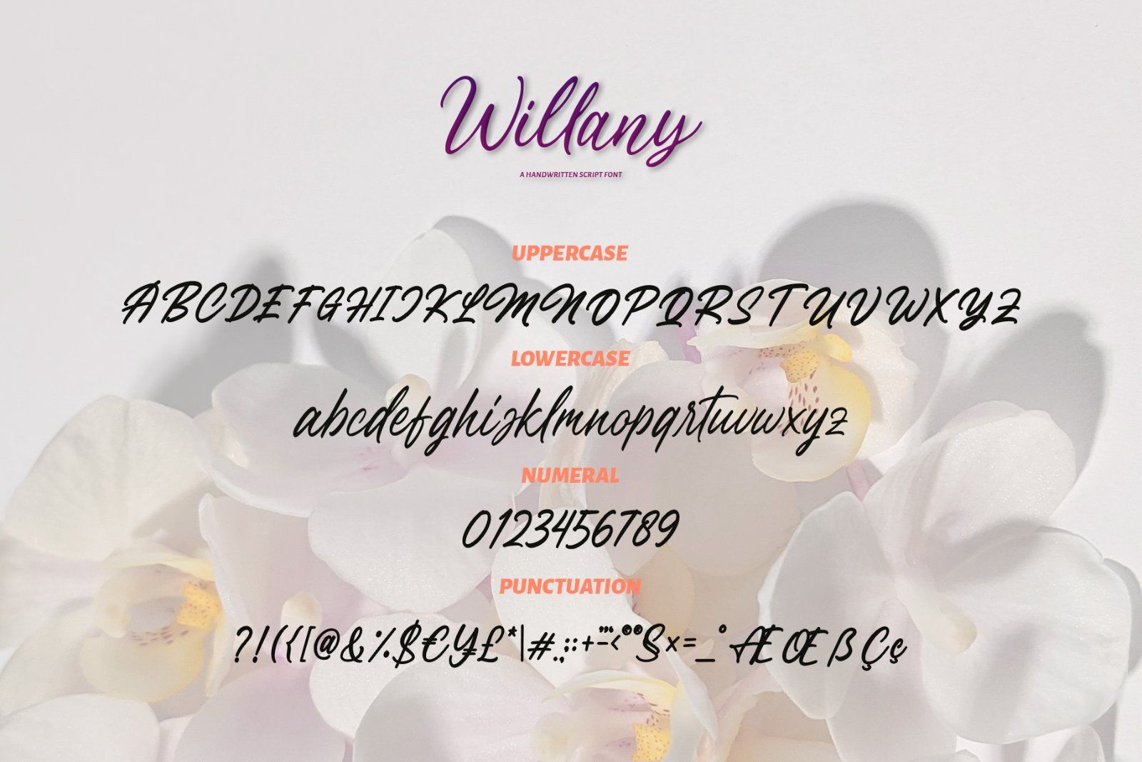 Willany - Handwritten Font — image 6