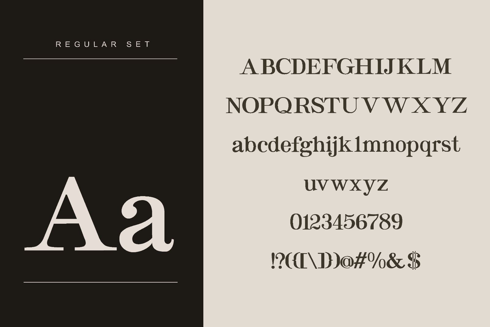 Norveil - Font Duo (Serif and Script) — image 7