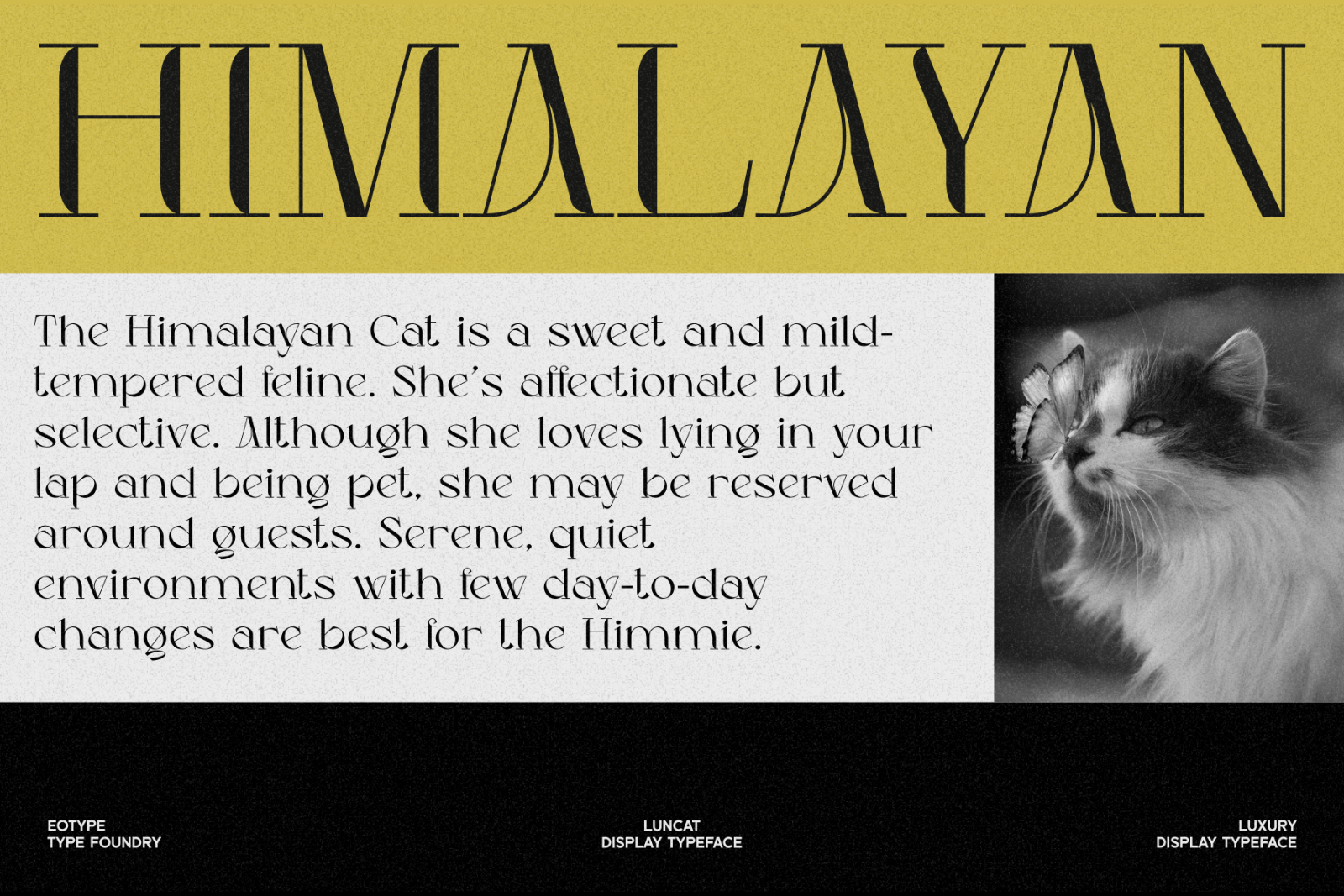 Luncat - Font — image 6