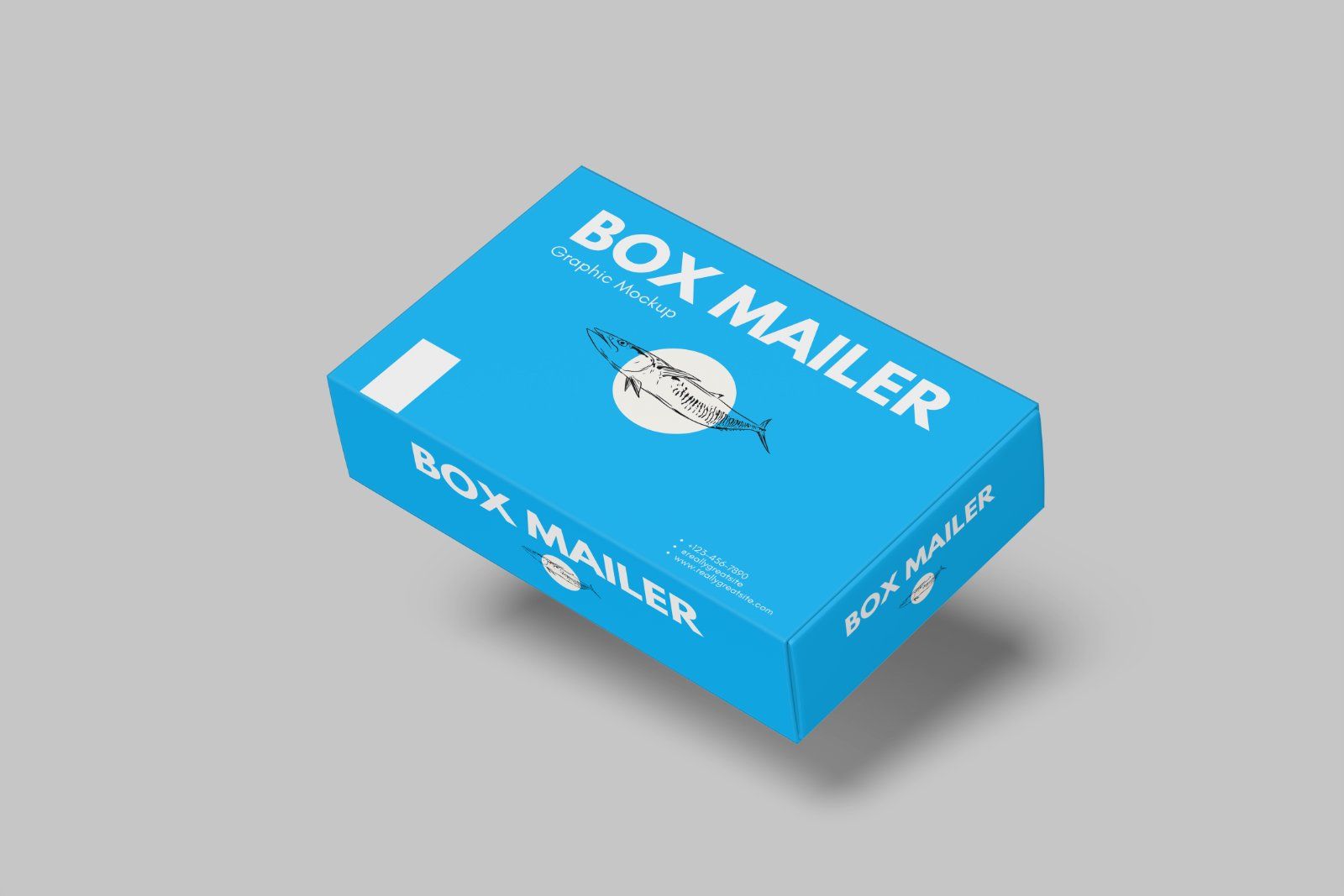 Mailer Box Mockup — image 6
