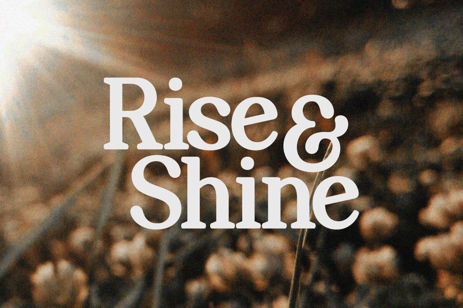 Perfect Mangue | Serif Duo Font — image 5