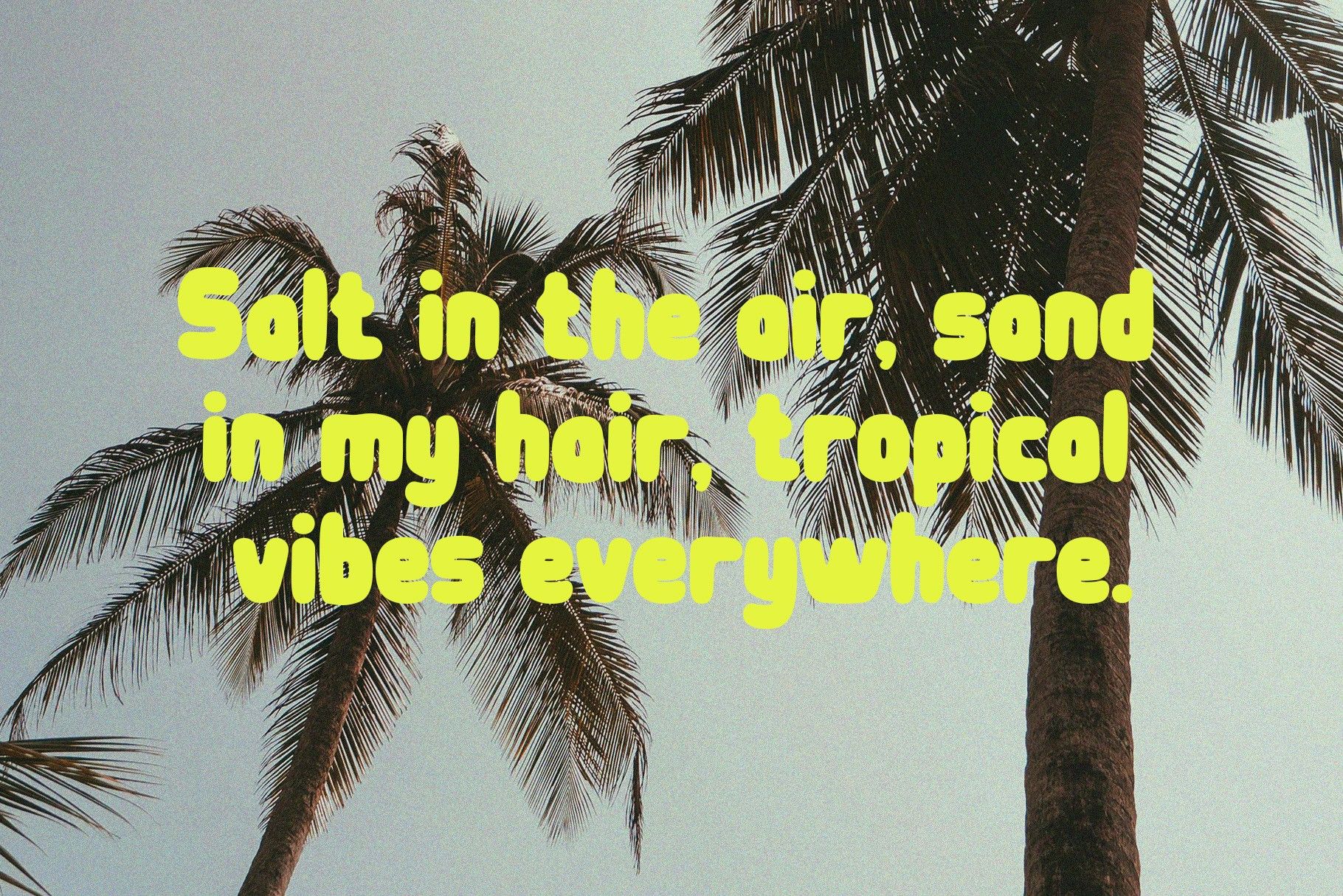 Velmonte | Bold Tropical Typeface — image 7