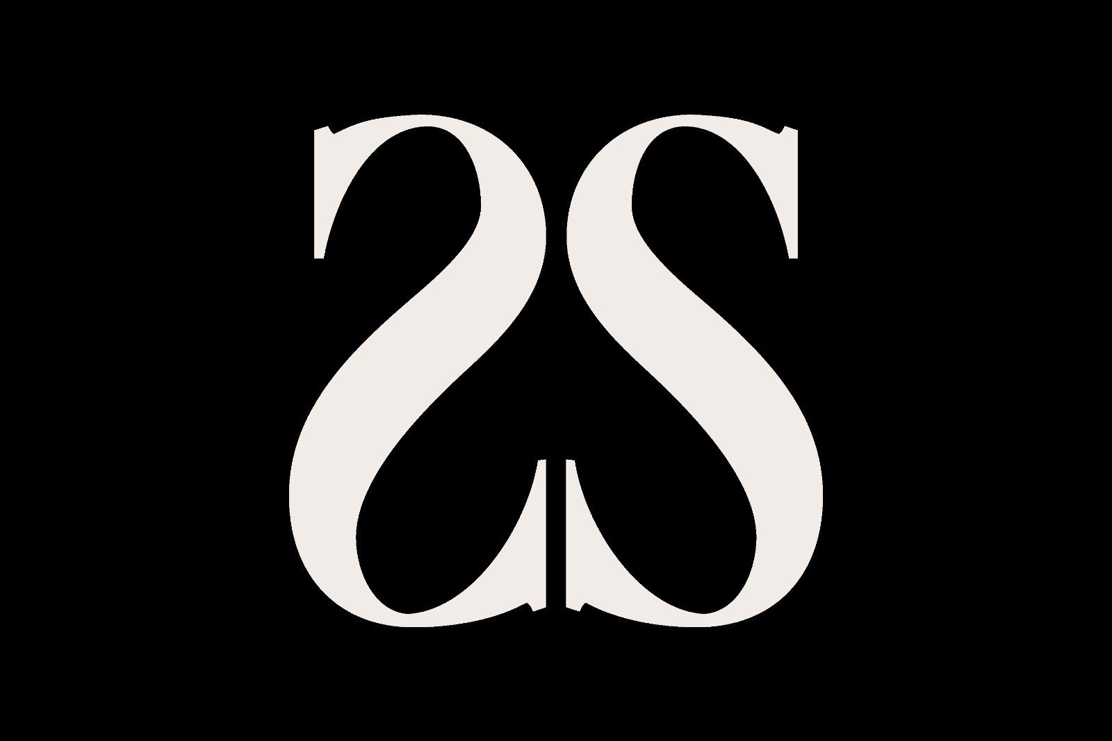 Taleron - Modern Serif — image 4