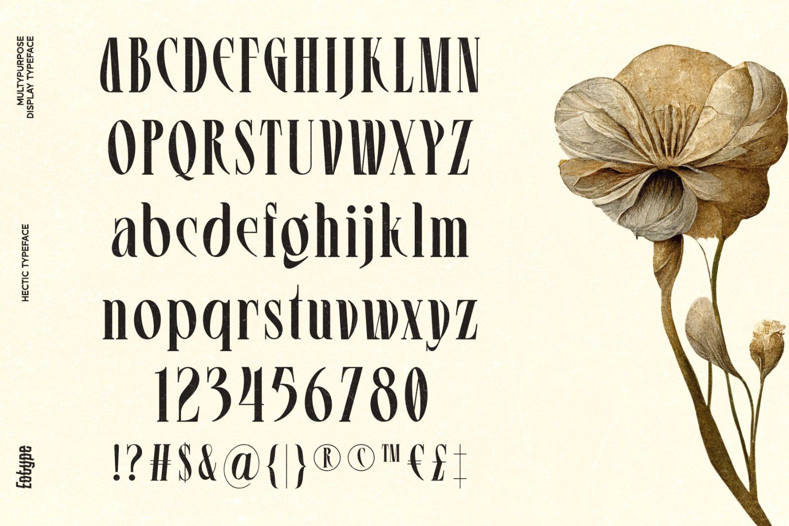 Hectic Font — image 6