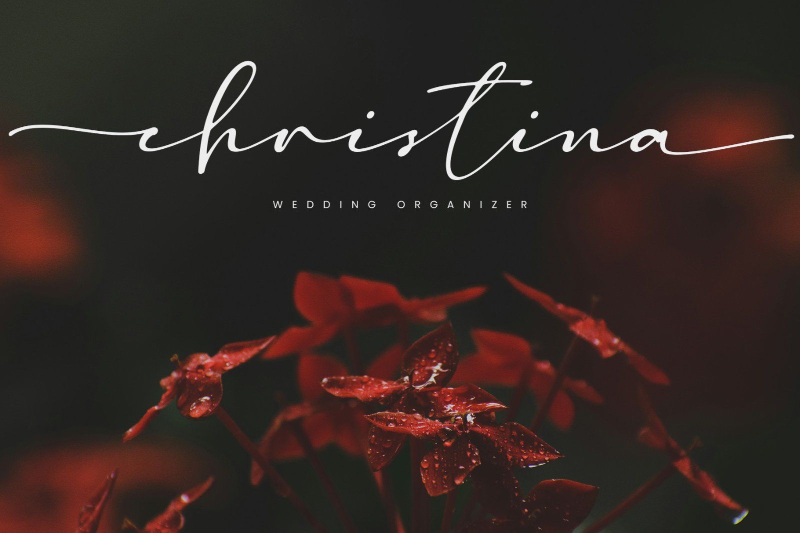 Madelisse | Elegant Signature Font — image 8