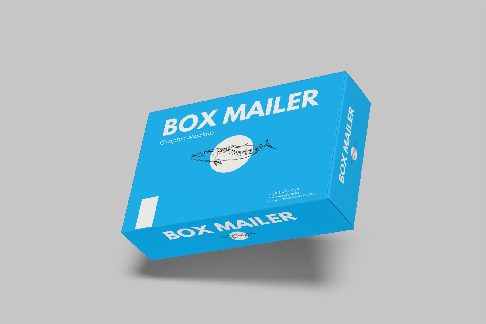 Mailer Box Mockup — image 7