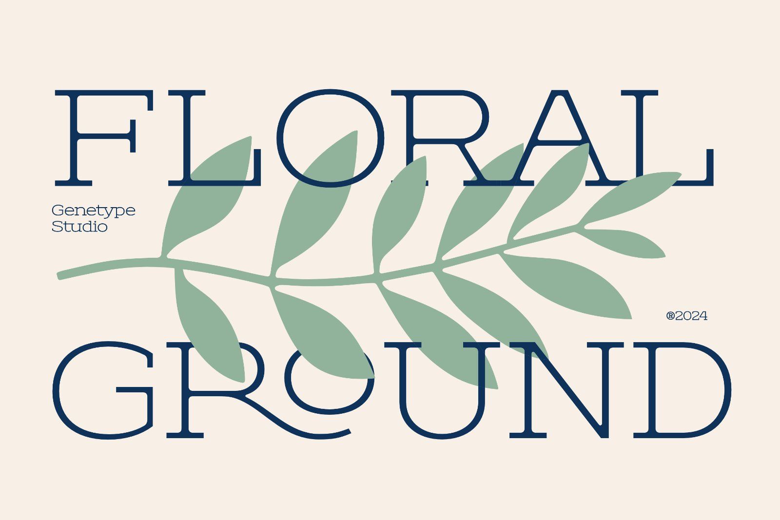 Theoris slab serif typeface — image 7