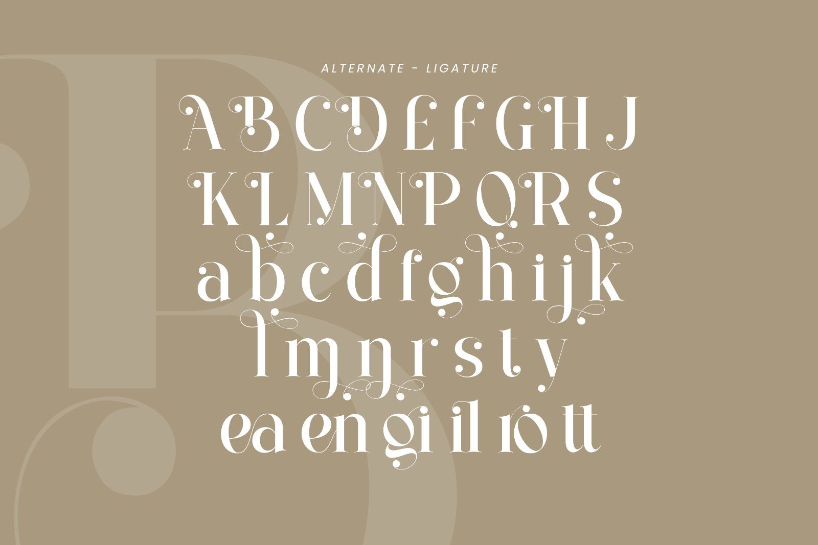 Bilgist | Modern Serif Display Font — image 9