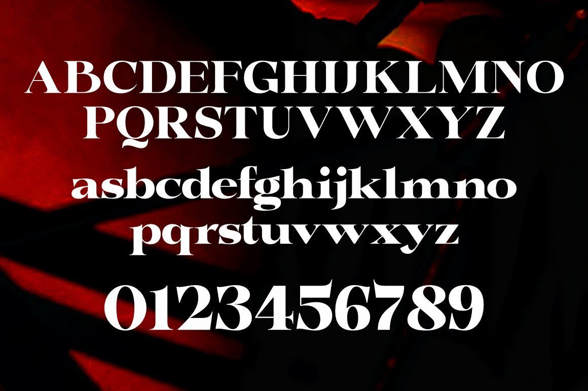 Whodiste Serif — image 7