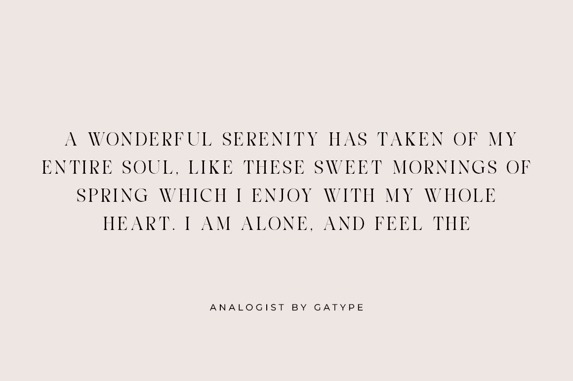Analogist — image 7