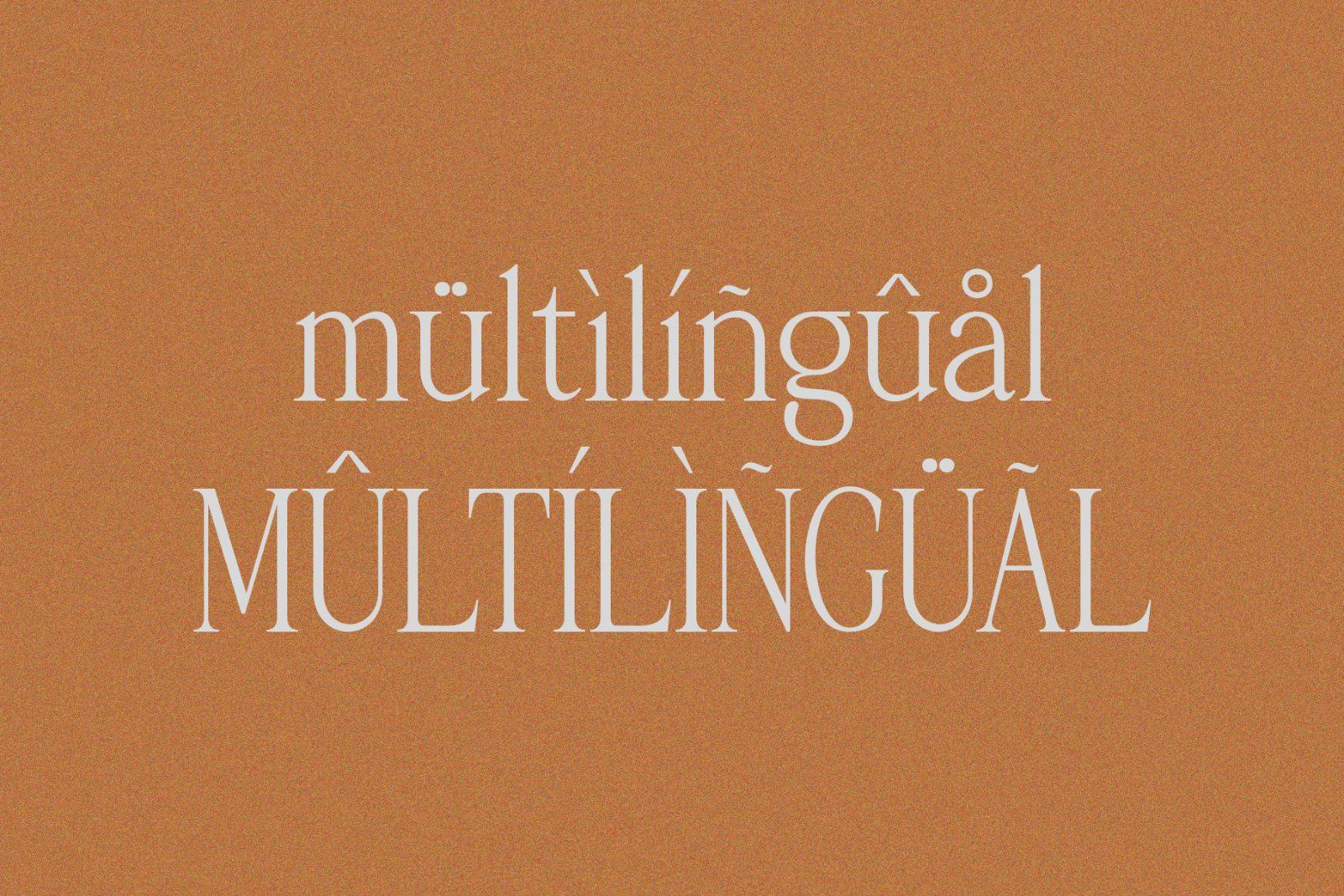 Palmorine | A Modern Serif Typeface — image 9