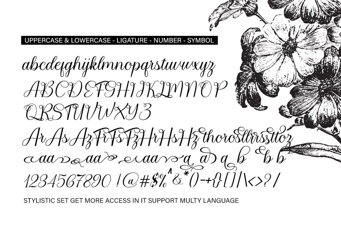 Bailies Script — image 7