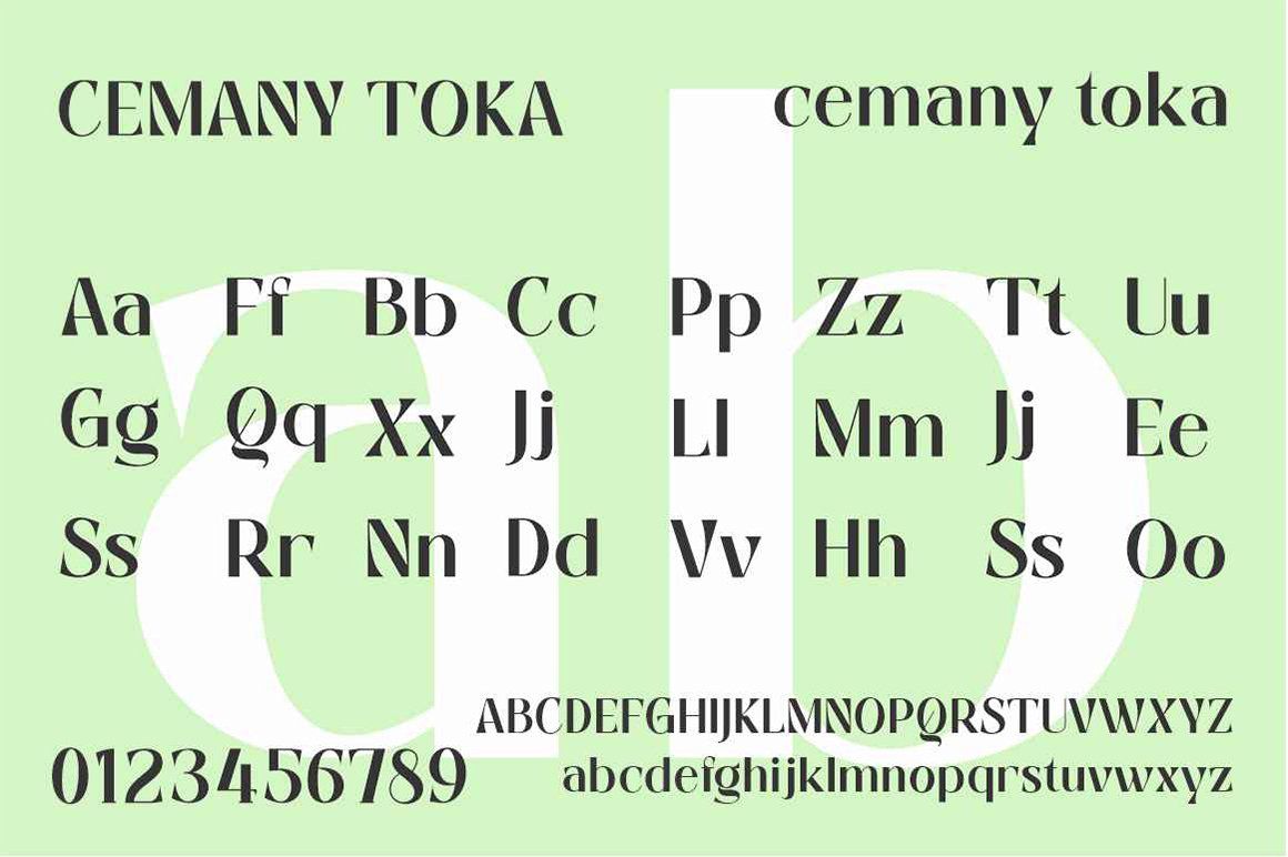 Cemany Toka — image 7