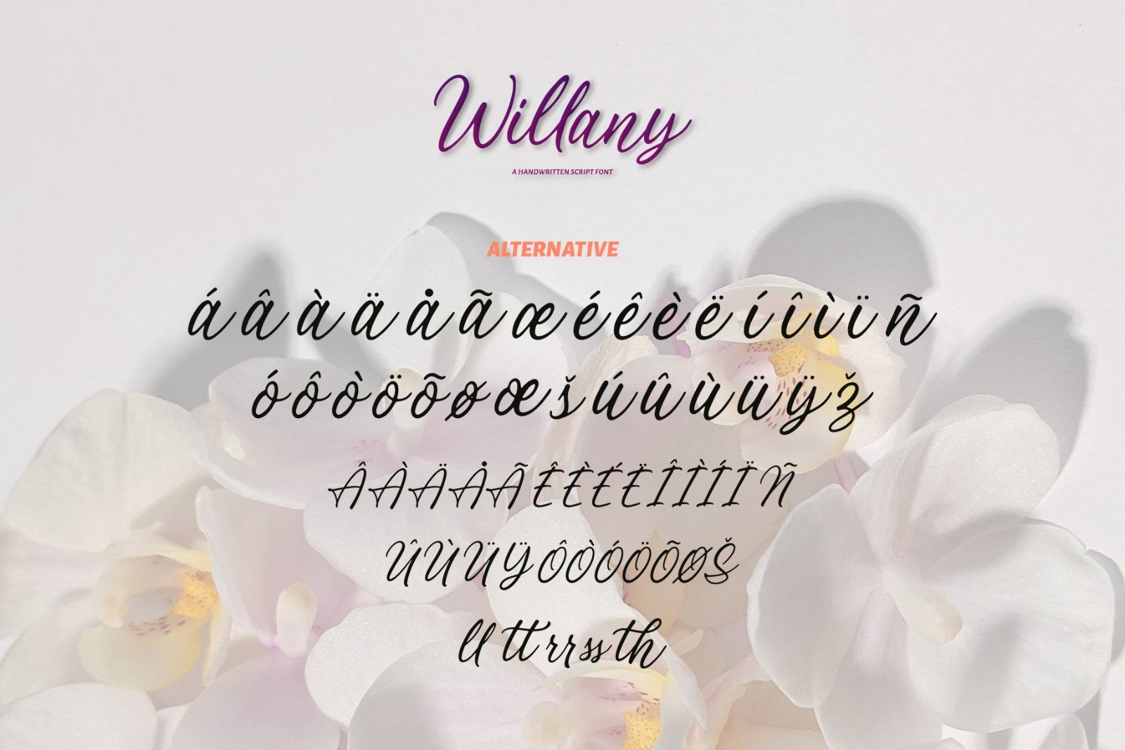 Willany - Handwritten Font — image 7