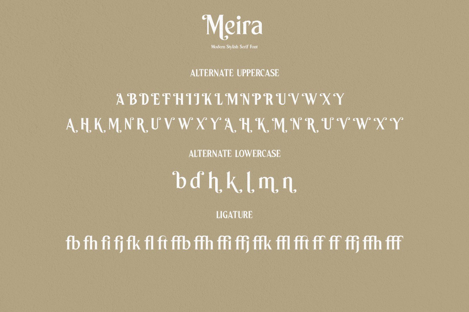 Meira Serif — image 7