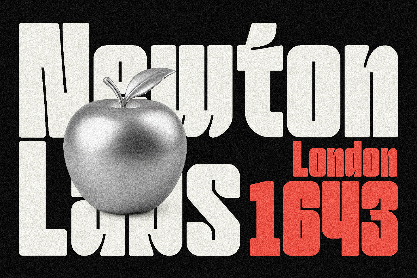 Tomato Bold — image 7