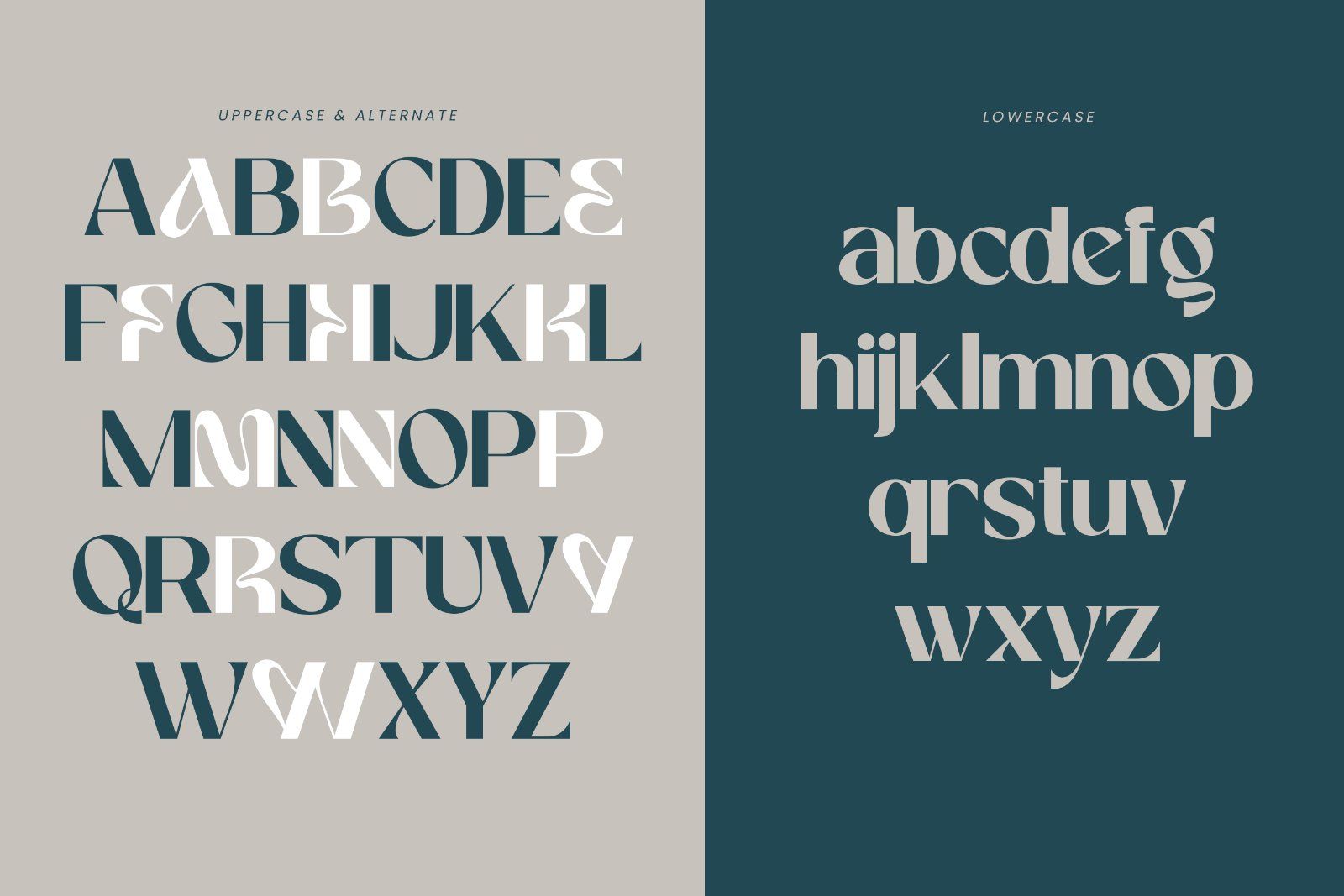 Megante | Elegant Sans Serif Font with Alternates — image 10