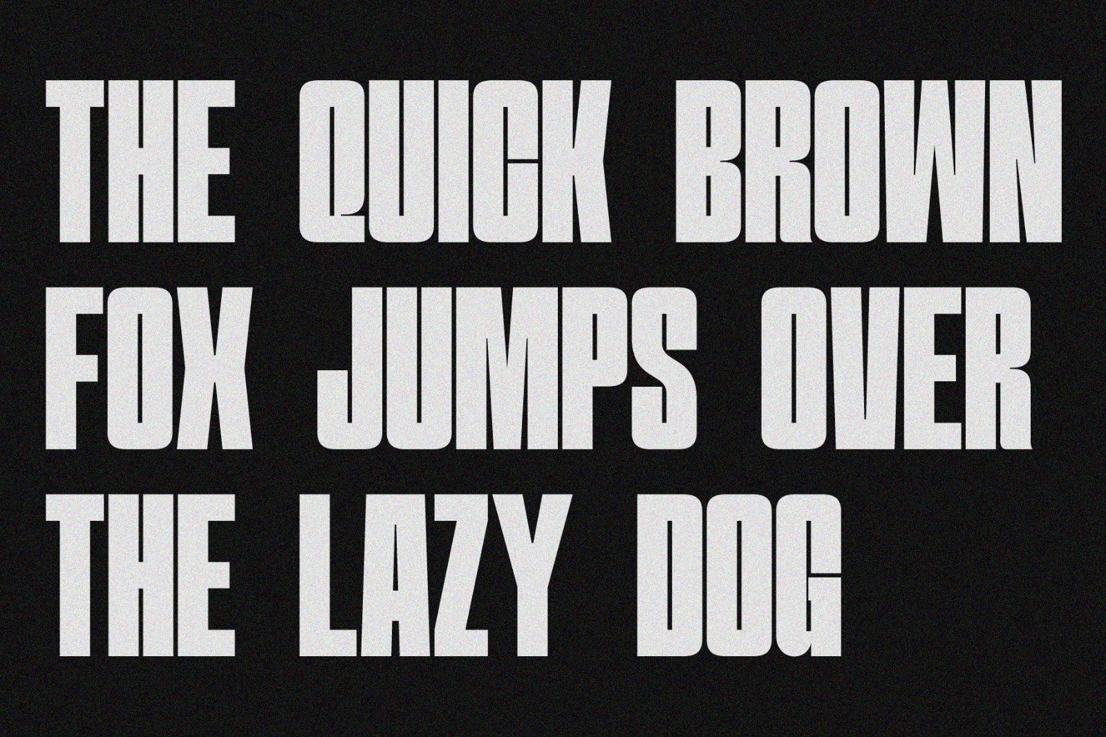 Hightone | Condensed Duo Font — image 4