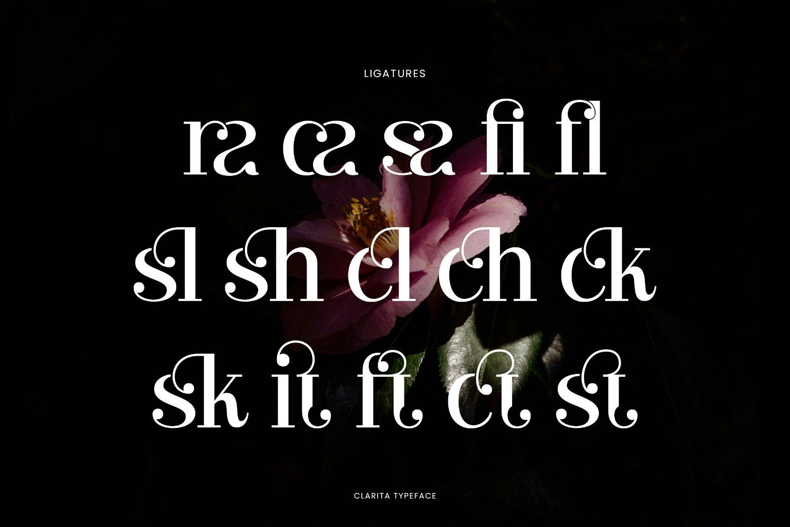 Clarita | Modern Unique Serif — image 7