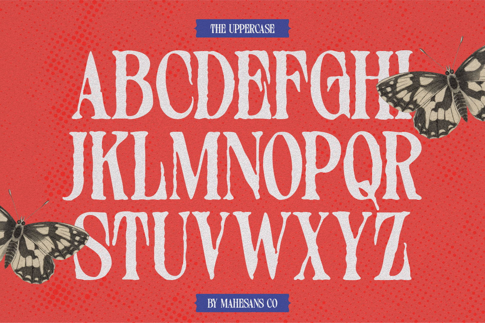 Distressed Seroze – Elegant Serif — image 7