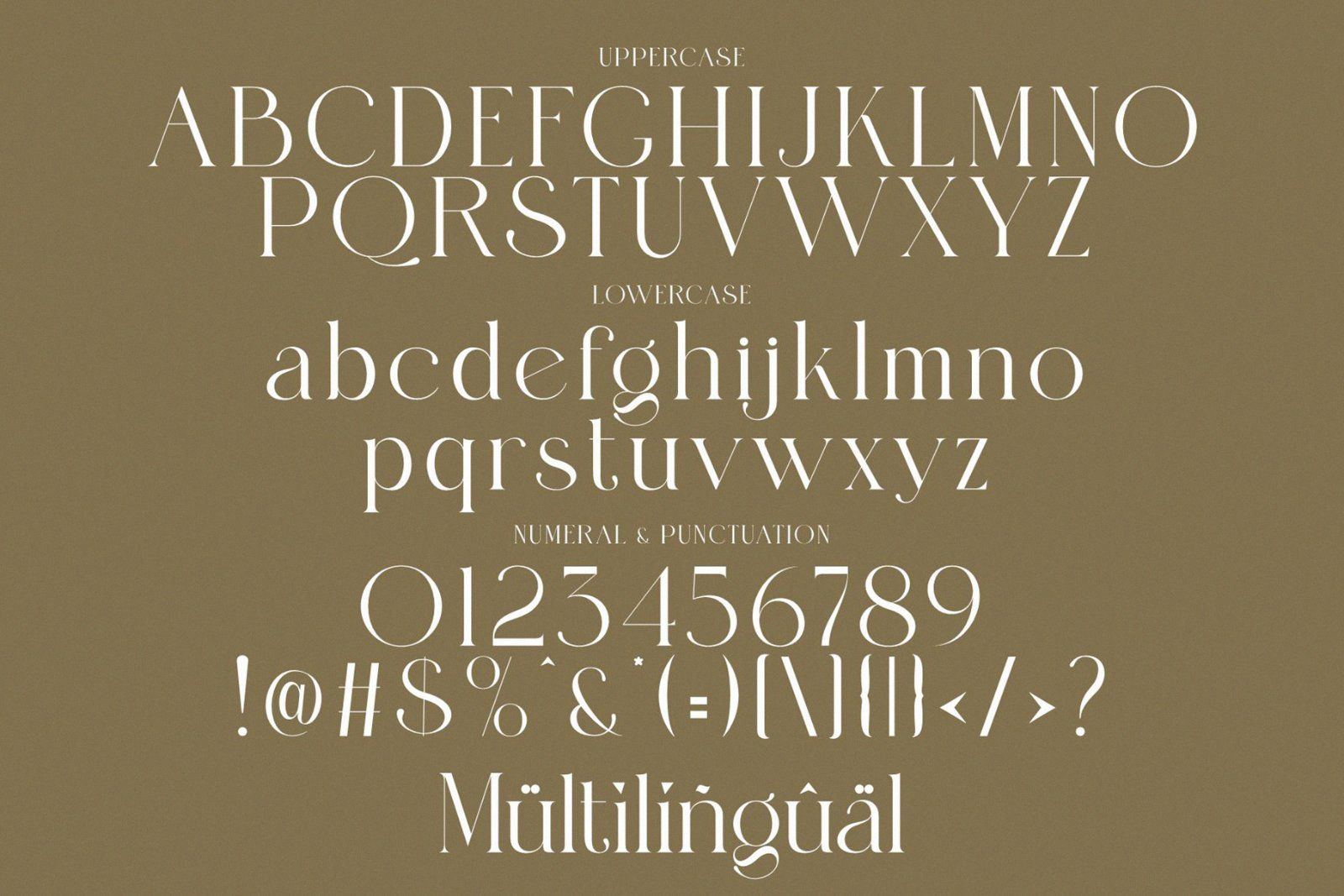 Mangro Elegant Serif Typeface — image 7