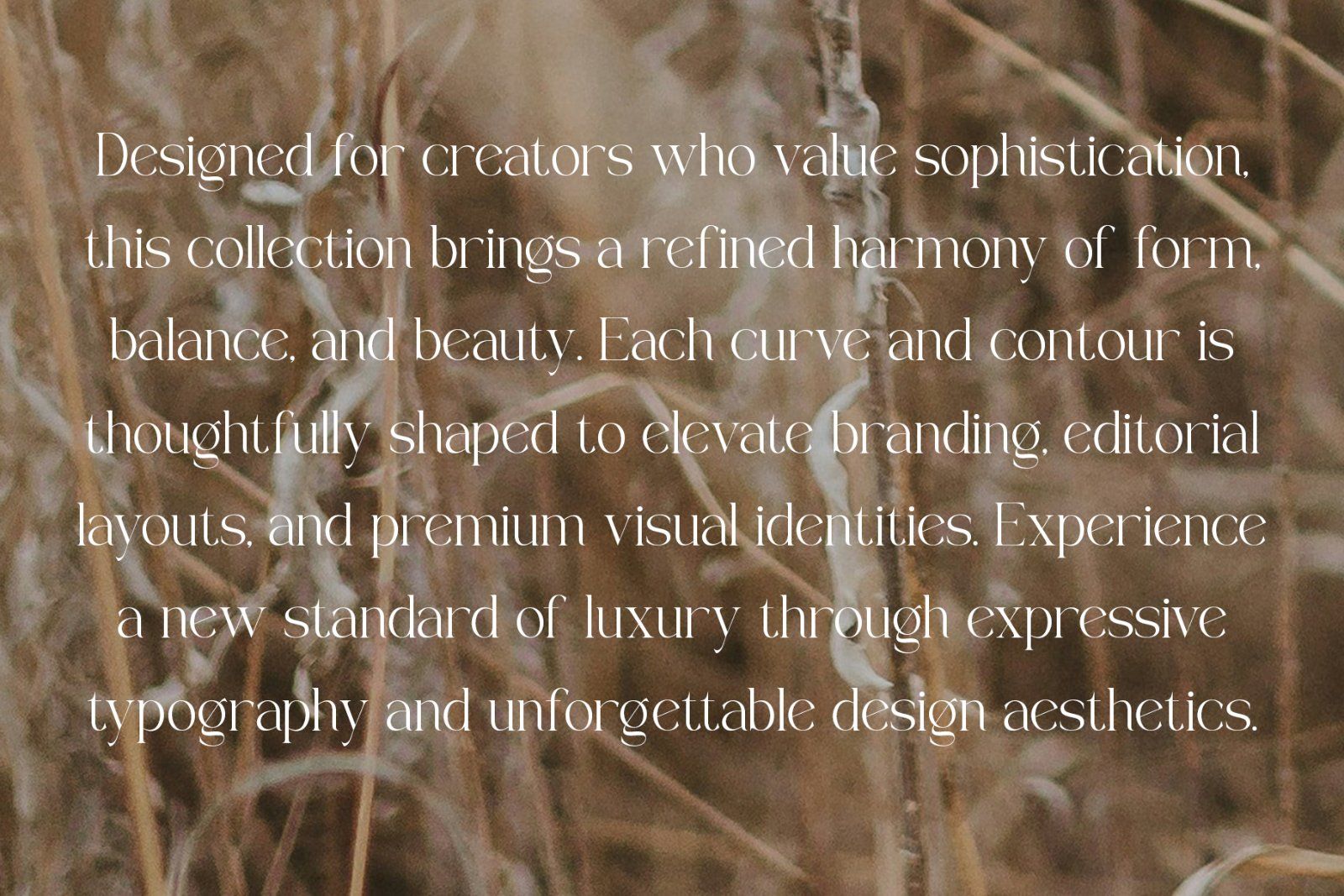 Galem | Elegant Serif — image 10