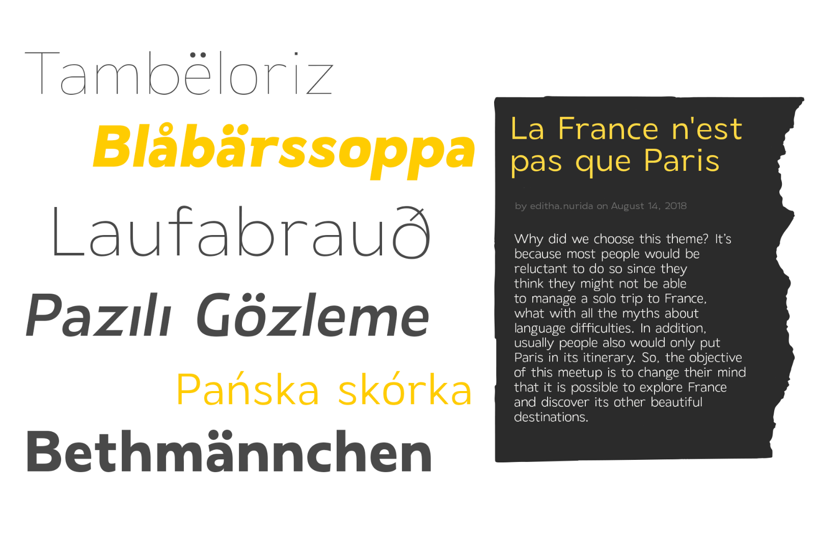 Laire Sans | 40 Font + Variable Font — image 7