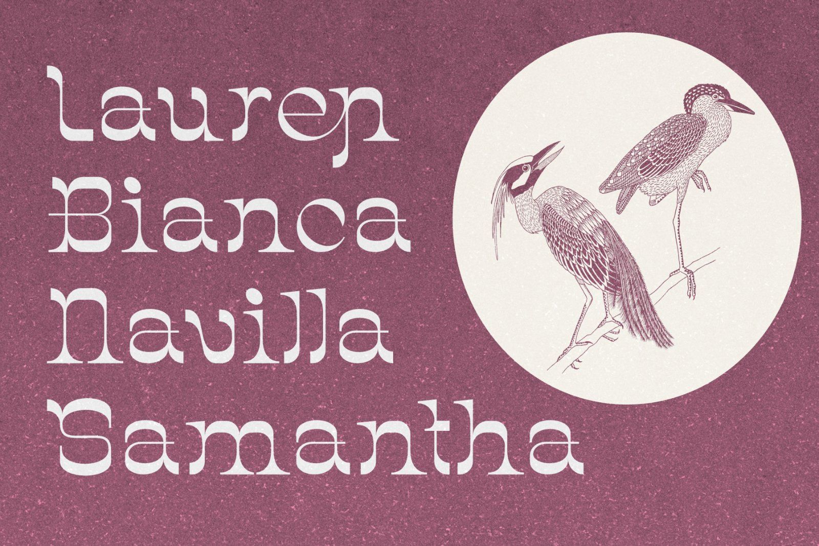 Chenta Font — image 7