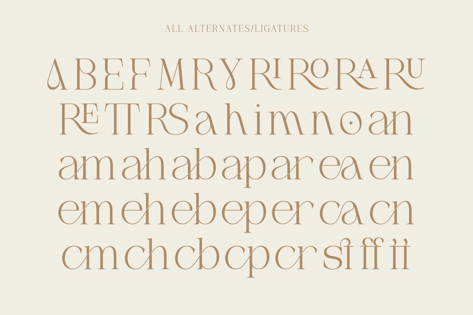Mogerin | Modern Display Serif — image 9