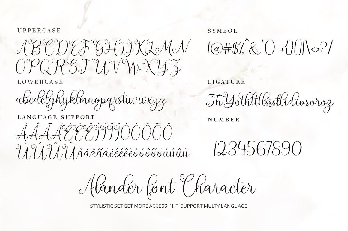 Alander script — image 8