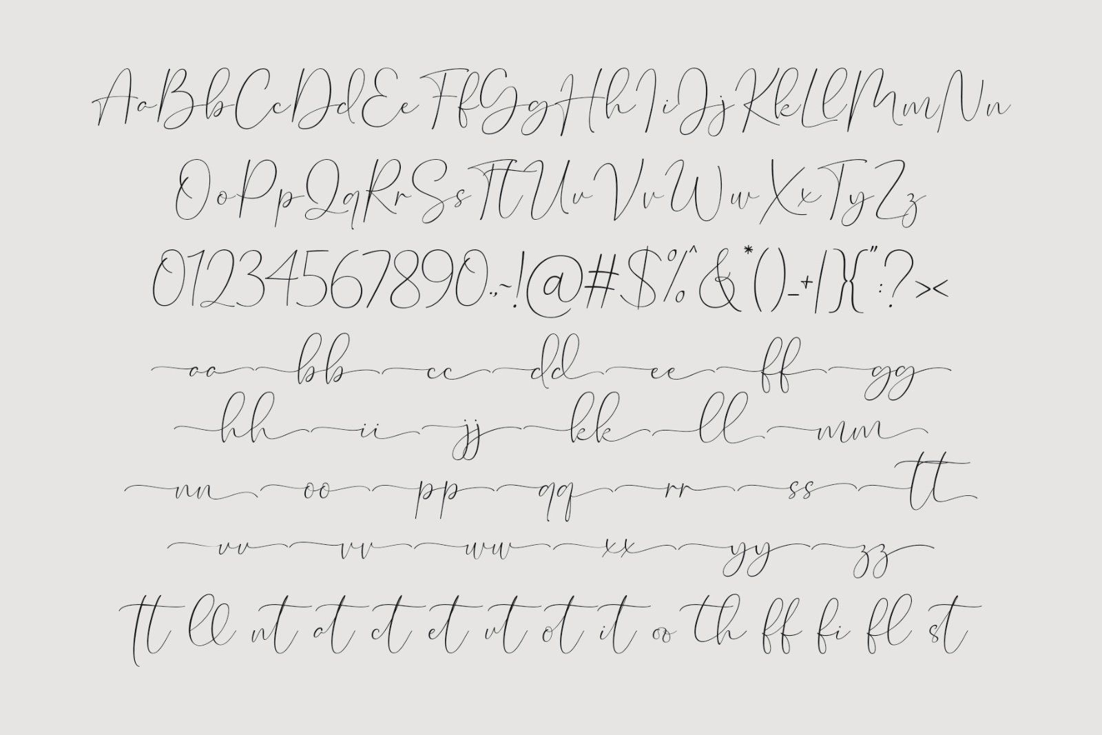 Marlotte | Modern Calligraphy Script — image 3