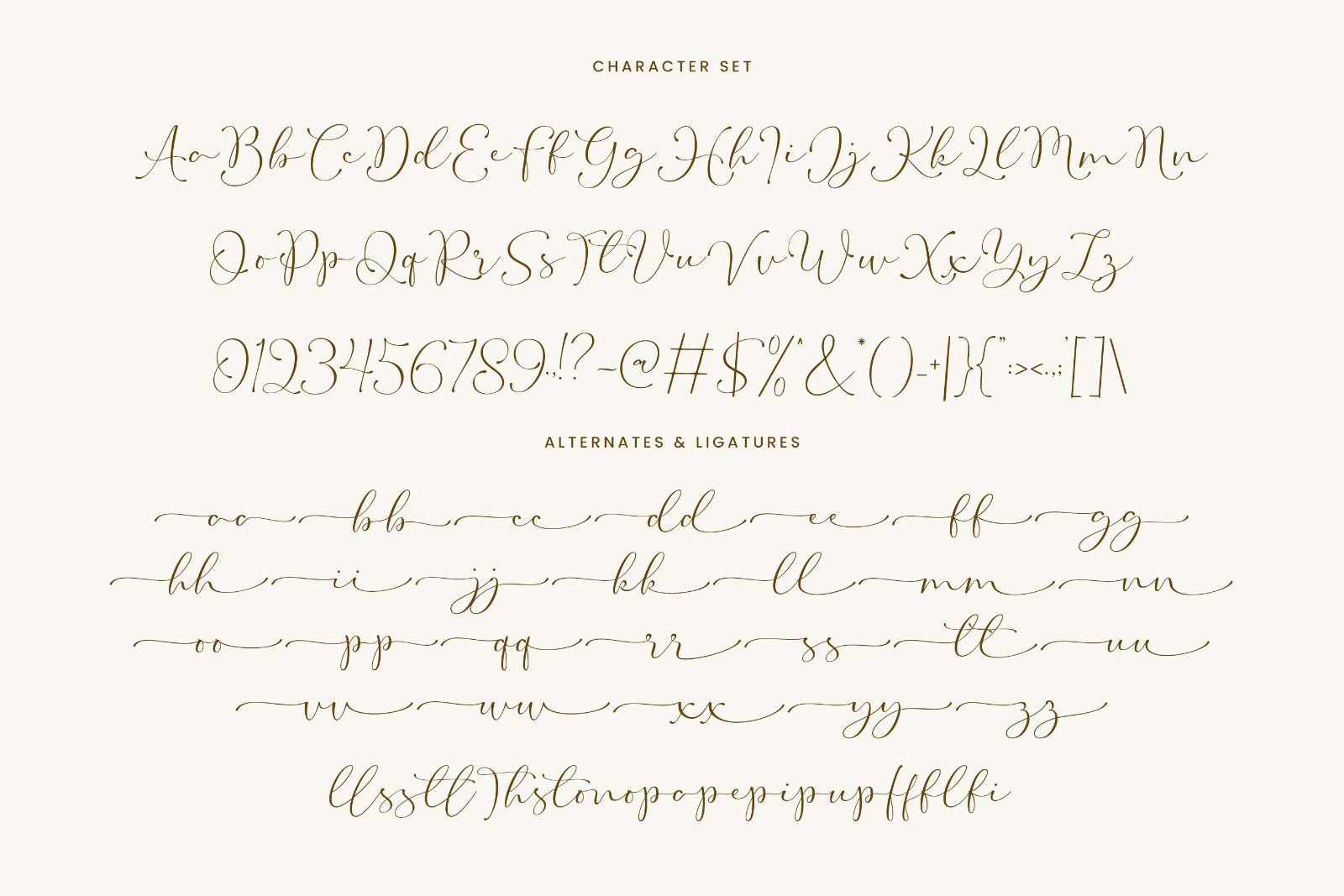 Raissa | Elegant Script Font — image 11
