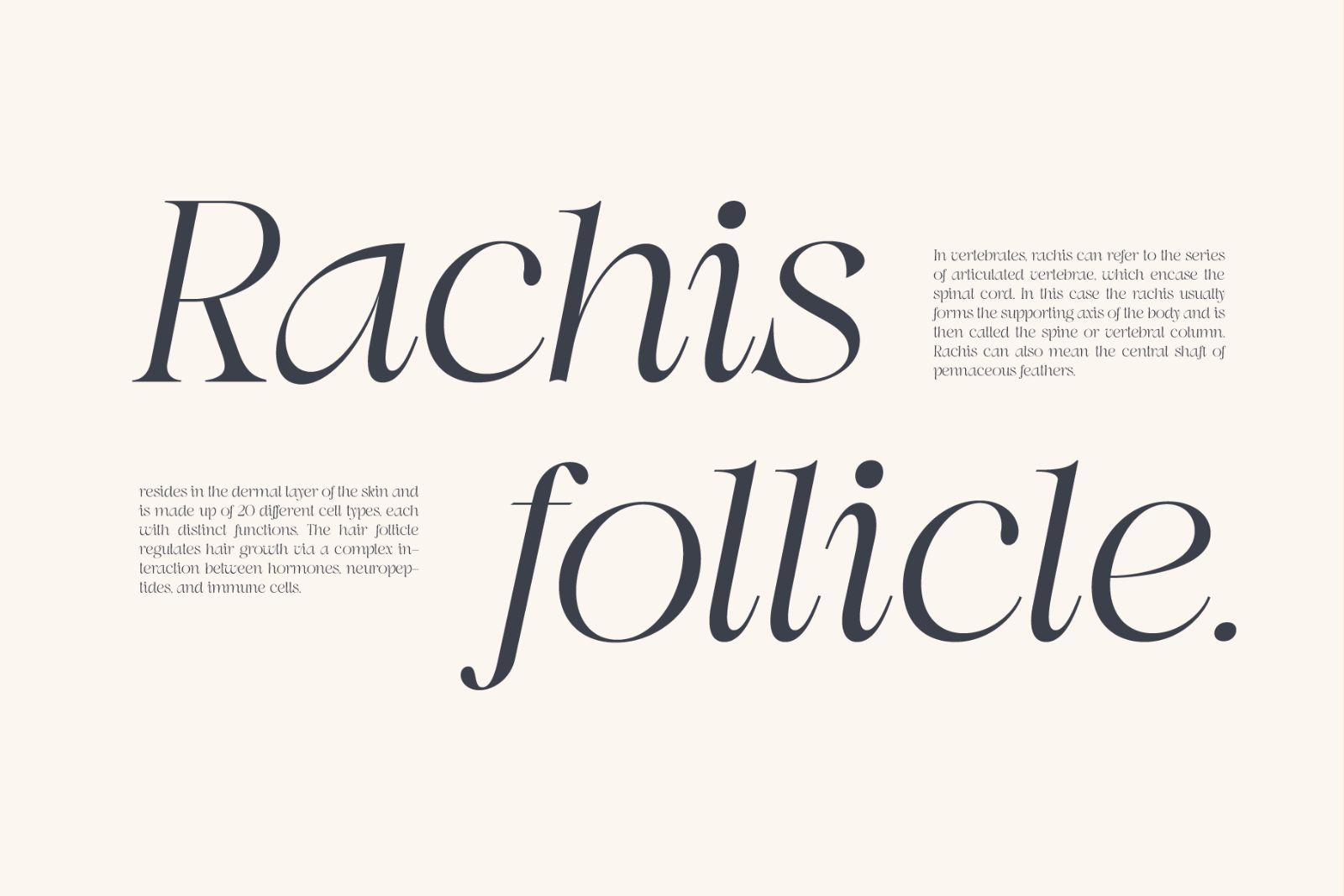 Swily Bright | Classy Font — image 9