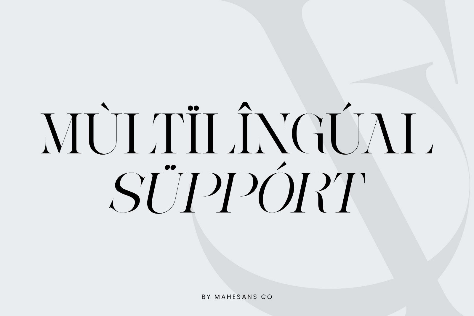 Ganer | Serif Display Font — image 8