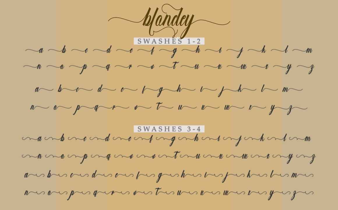 Blondey Script — image 8