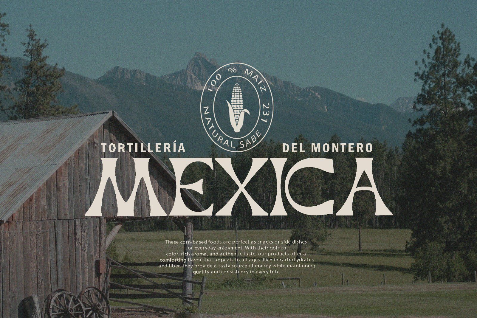 Cantero - Retro Serif Font — image 10