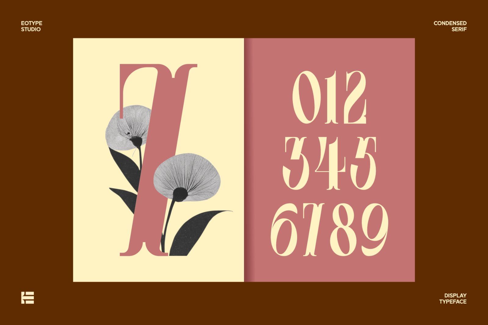 Leonice Font — image 8