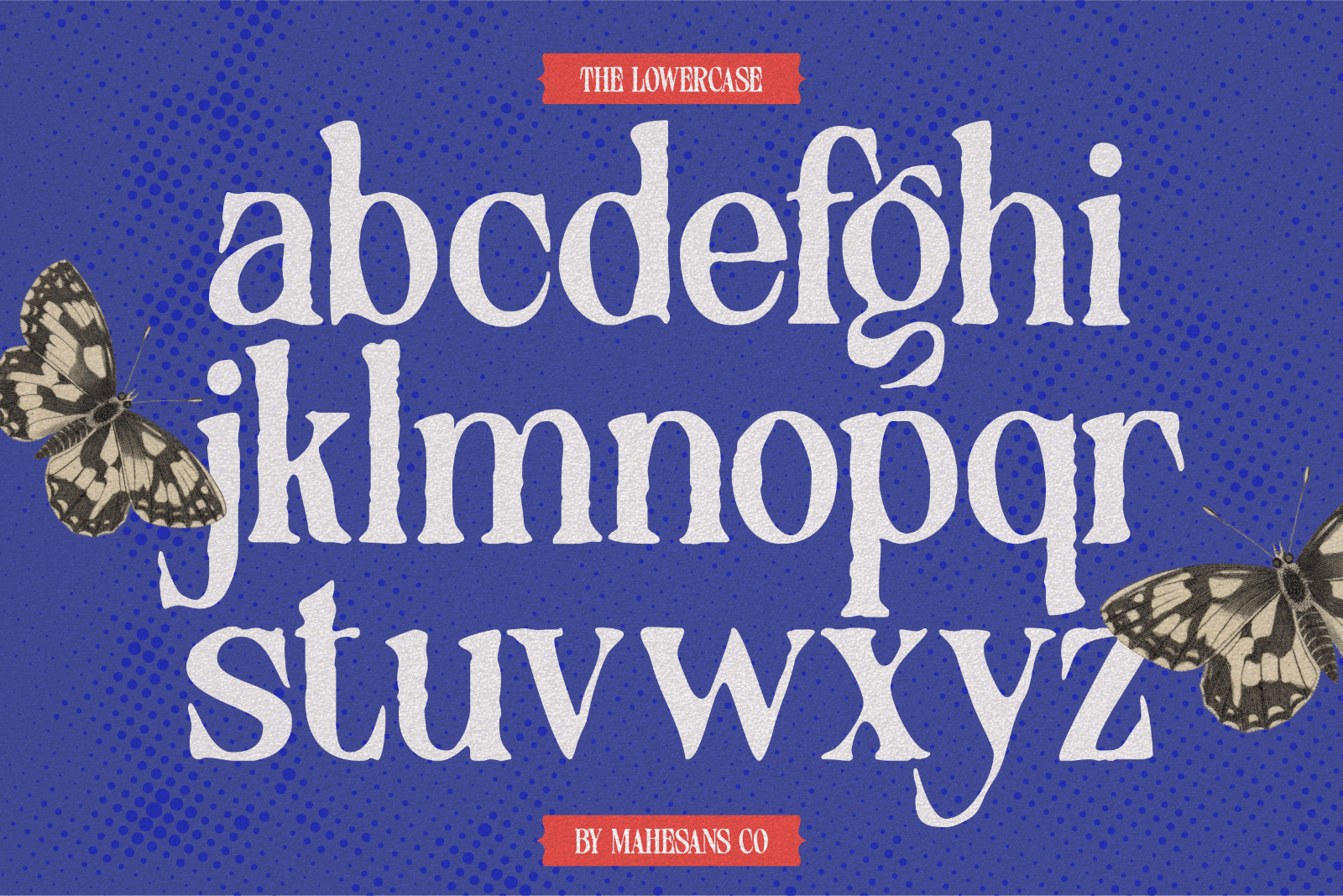 Distressed Seroze – Elegant Serif — image 8