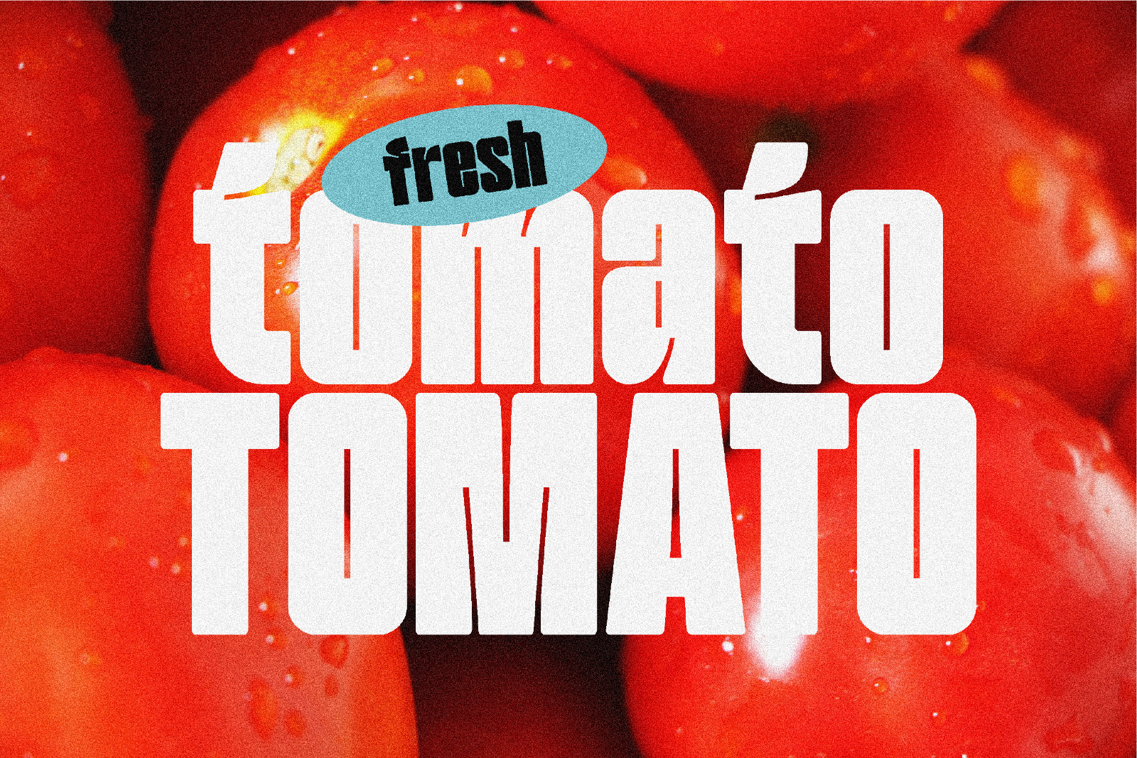 Tomato Bold — image 8