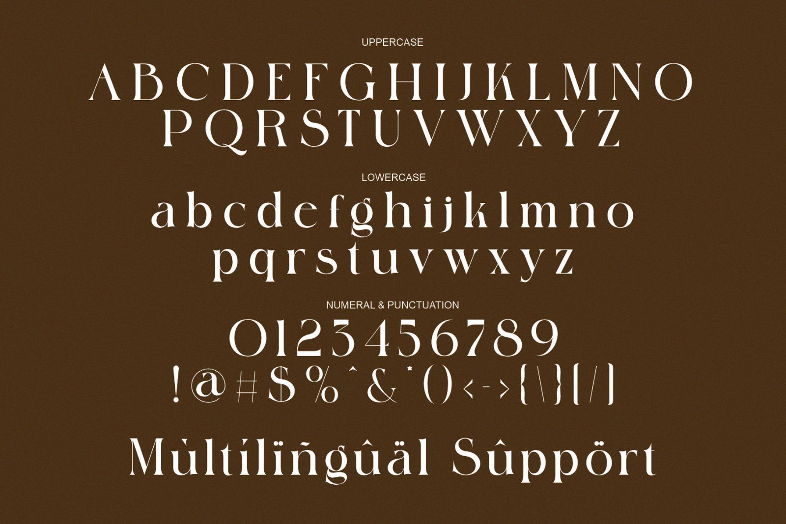 Milcora Modern Ligature Serif — image 8