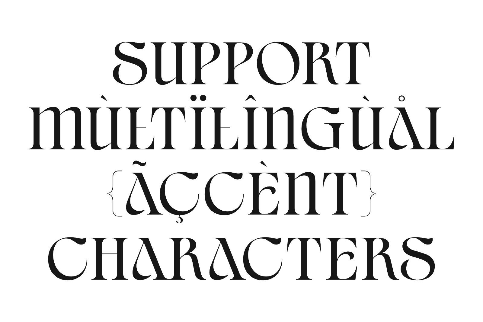 Civons Serif Display Font — image 8