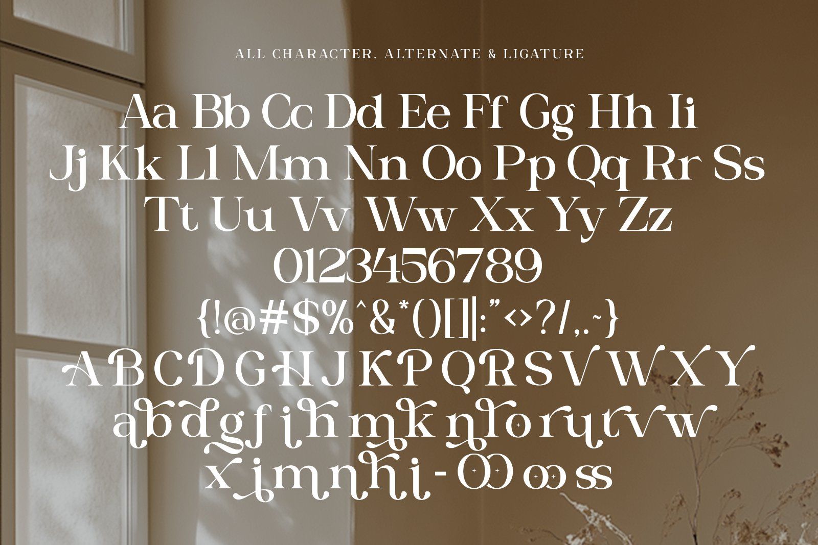 Melnora | Modern High Contrast Serif Font — image 9