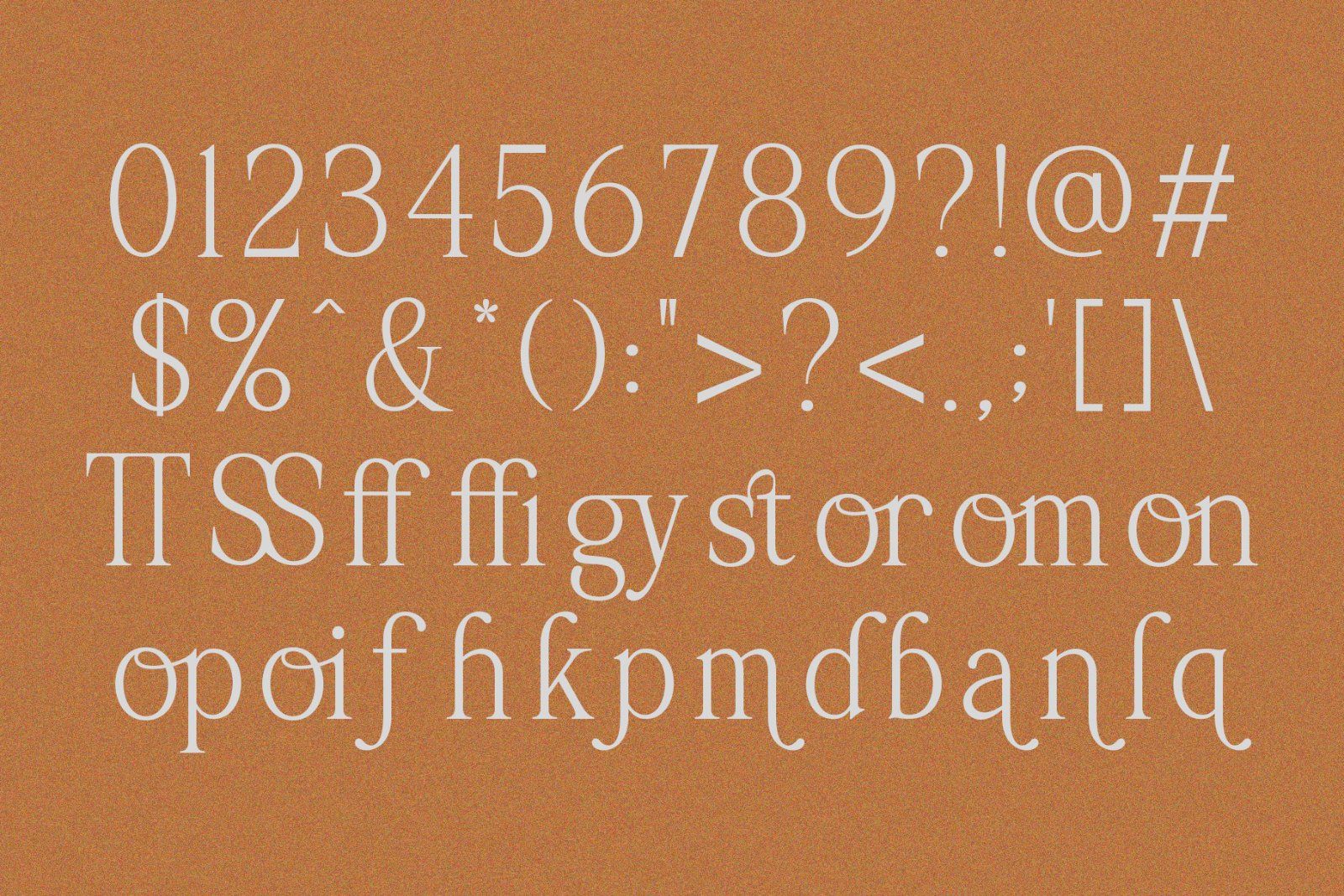Palmorine | A Modern Serif Typeface — image 10