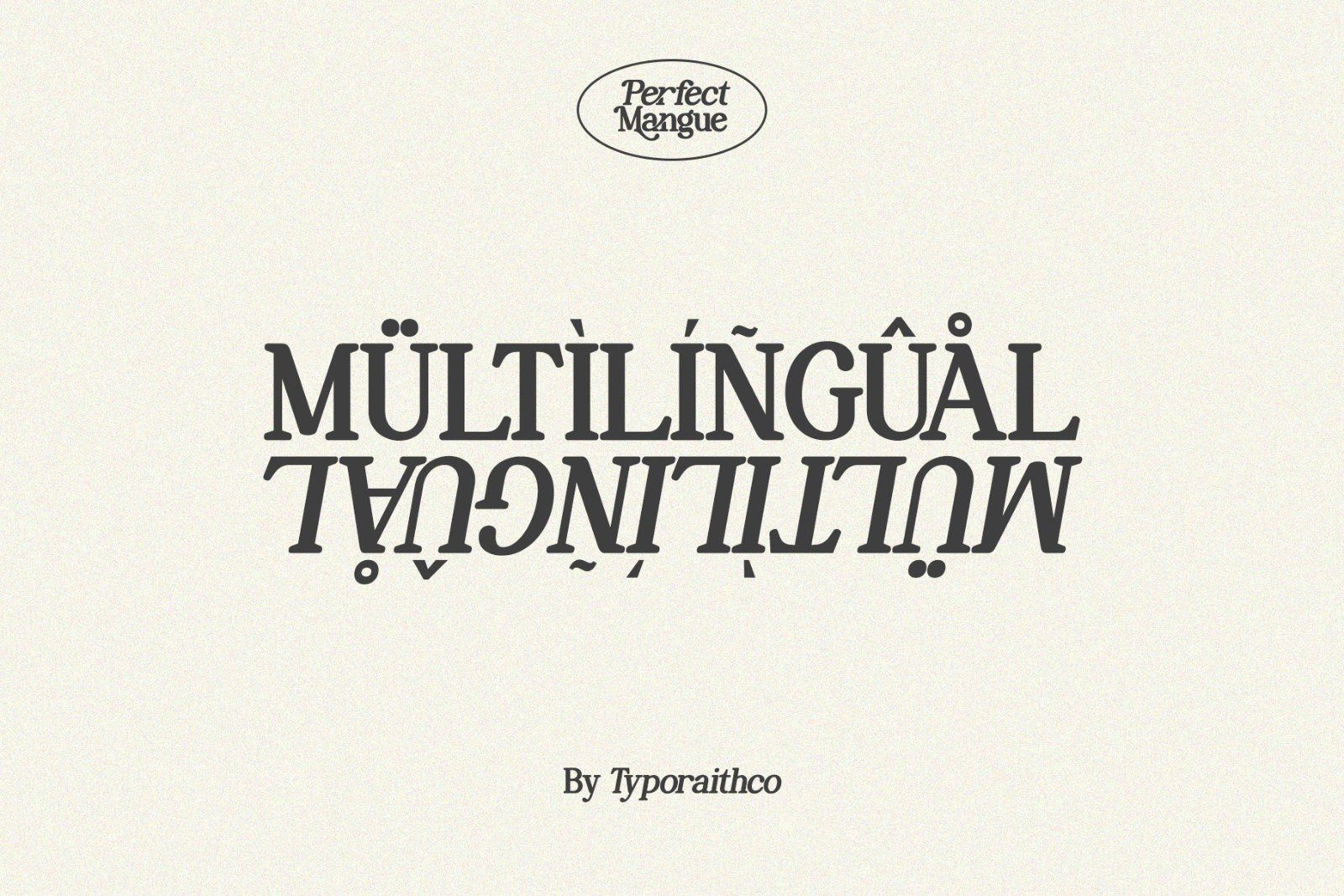 Perfect Mangue | Serif Duo Font — image 9